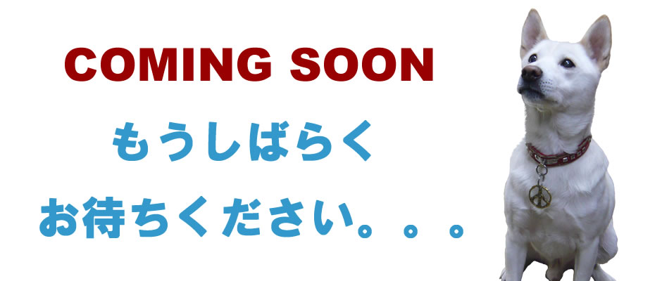 かみんぐぅ・す～ん